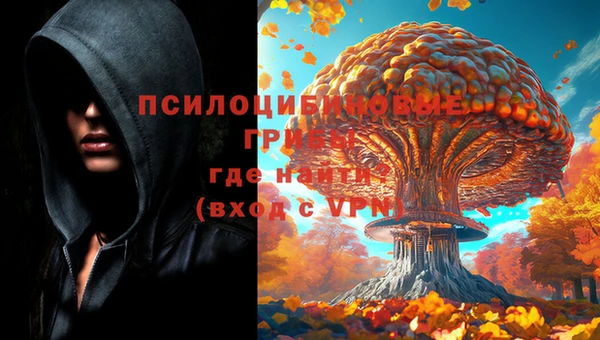а пвп мука Арсеньев
