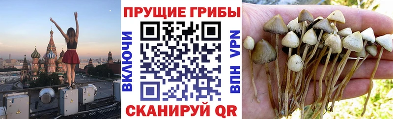 Галлюциногенные грибы мухоморы  продажа наркотиков  ссылка на мегу tor  Певек 